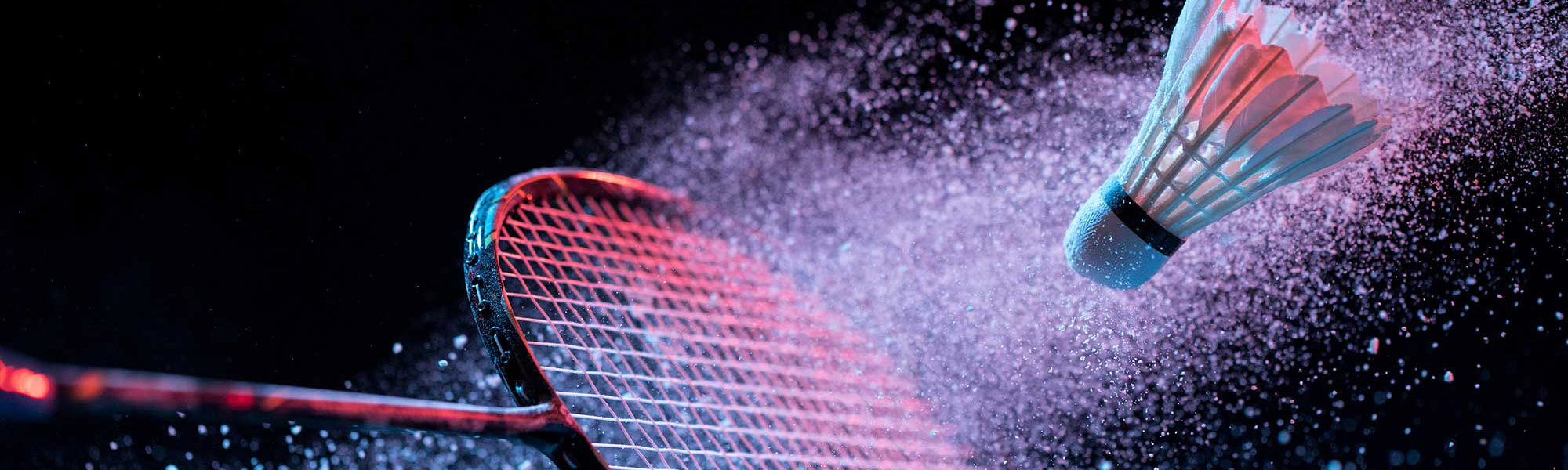 Championnat Badminton équipe vétéran n°1 Les Fous Volants