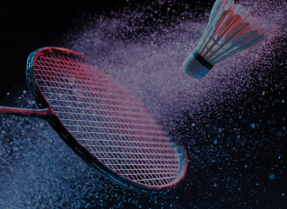 Les Fous Volants club de Badminton Vigneux de Bretagne - La Paquelais (44)